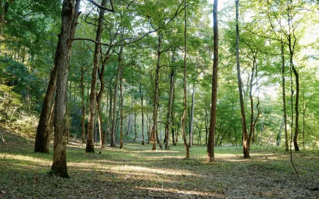 $195,000 | 9 B Sturgeon Creek Road, Cedar Hill, TN 37032