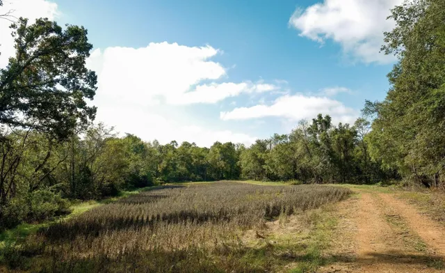 $195,000 | 9 B Sturgeon Creek Road, Cedar Hill, TN 37032