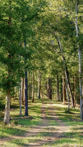 $195,000 | 9 B Sturgeon Creek Road, Cedar Hill, TN 37032