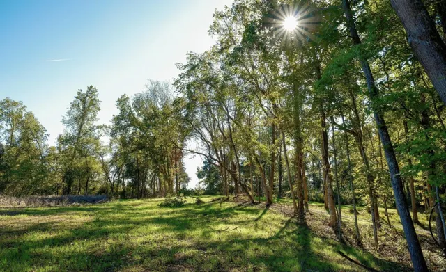 $195,000 | 9 B Sturgeon Creek Road, Cedar Hill, TN 37032