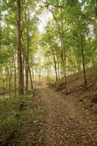 $195,000 | 9 B Sturgeon Creek Road, Cedar Hill, TN 37032