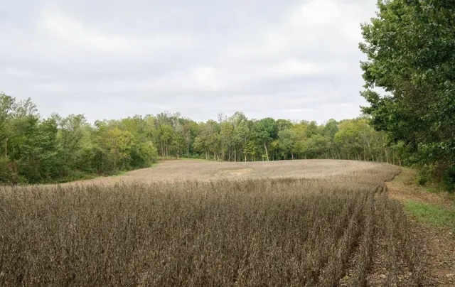 $195,000 | 9 B Sturgeon Creek Road, Cedar Hill, TN 37032