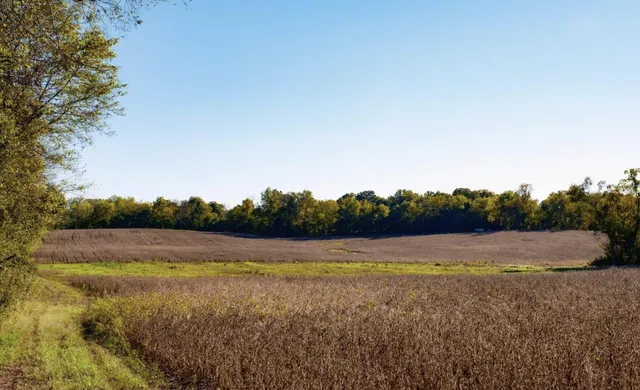 $195,000 | 9 B Sturgeon Creek Road, Cedar Hill, TN 37032