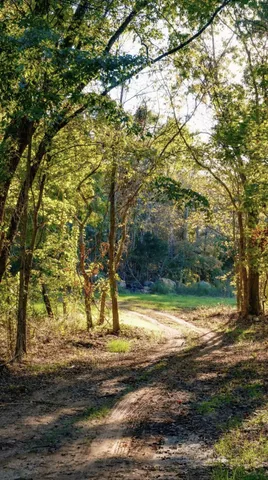 $195,000 | 9 B Sturgeon Creek Road, Cedar Hill, TN 37032