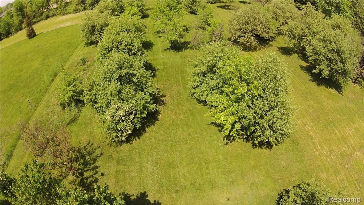 16877 Faulman Road Clinton Township, MI 48035 - Photo 37 of 44 IMG_3866.JPG