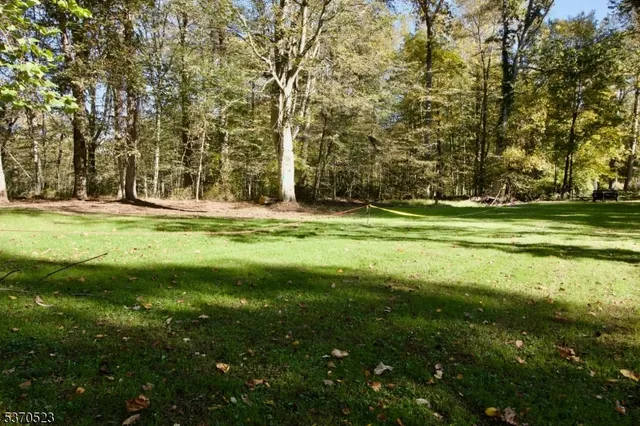 a view of yard with trees