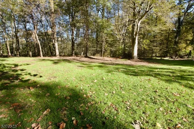 a view of a big yard with plants and large trees