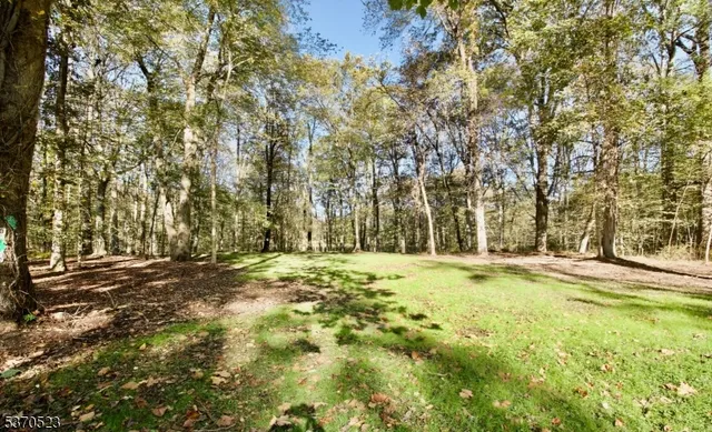 a big yard with lots of green space and trees