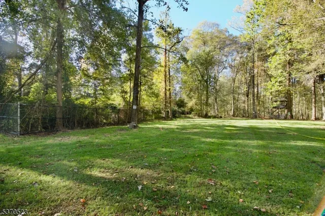 a view of a yard with plants and large trees