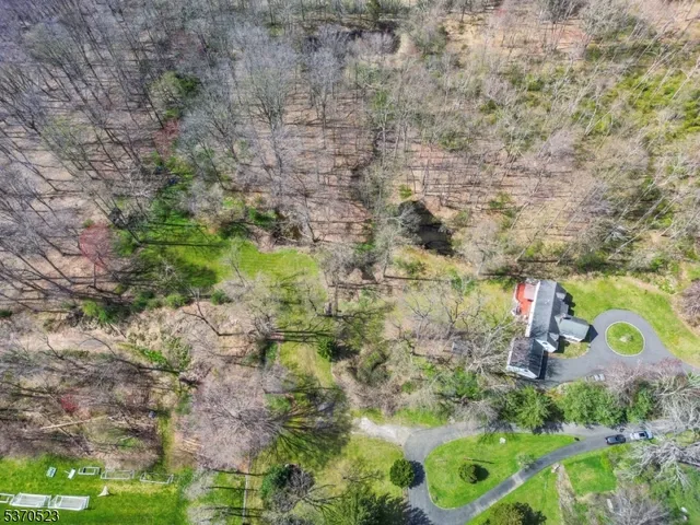 a view of a house with a lush green forest