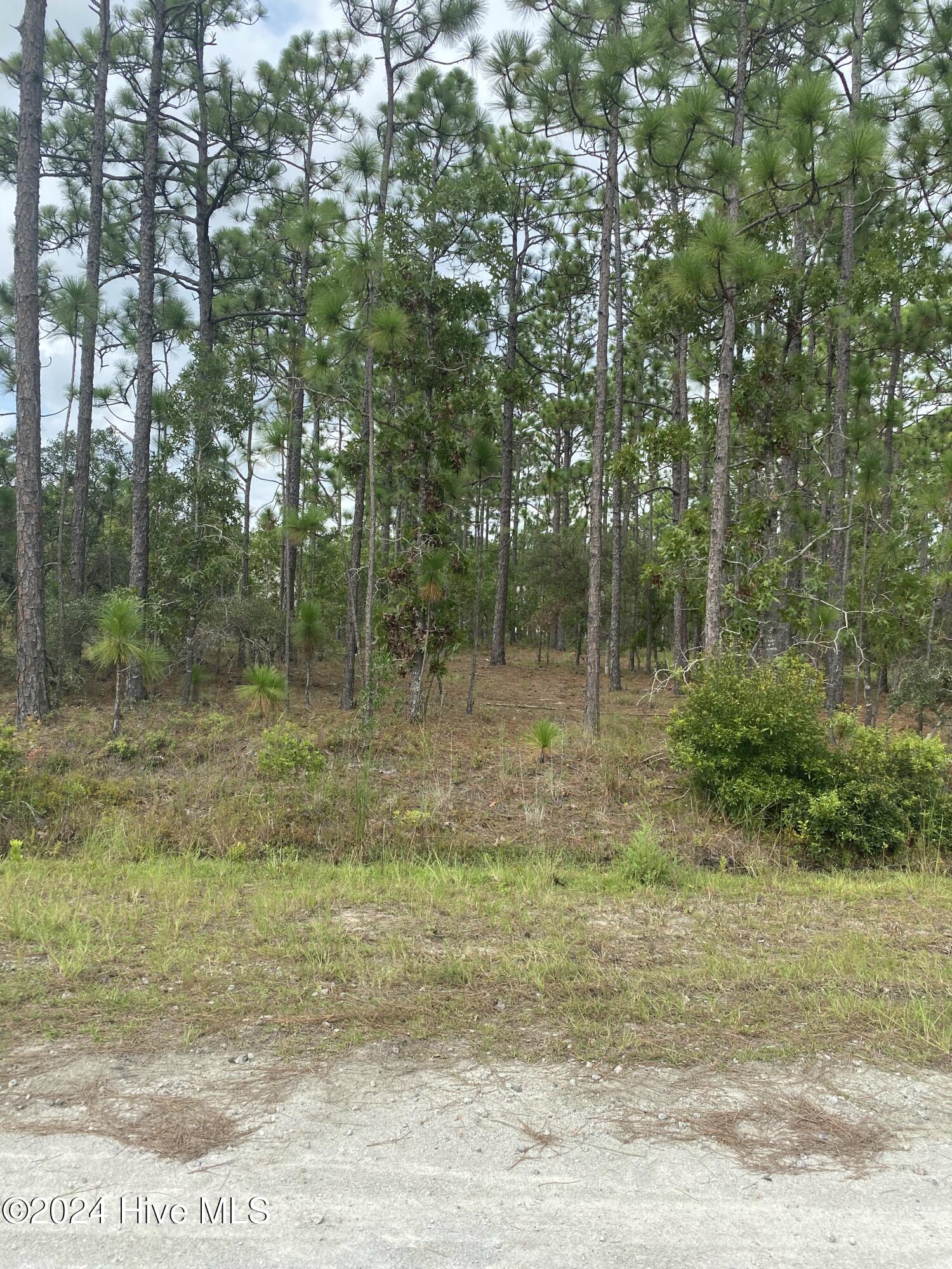 Lot 6 Monroe Road Southport, NC 28461 - Photo 1 of 2 lot
