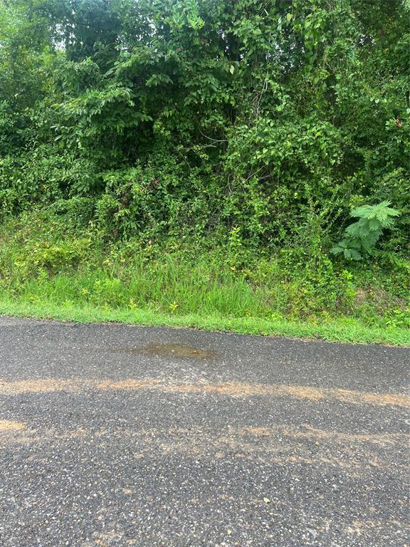 0 Albert Lewis Way Mansfield, LA 71052 - Photo 5 of 7