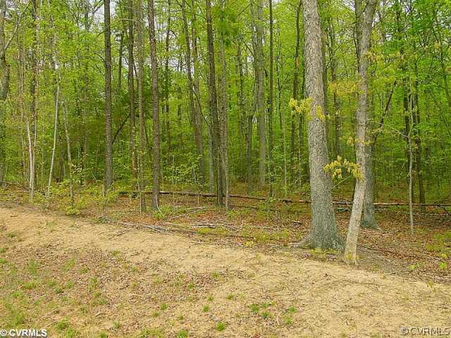 Lot 25 Winding Ridge Way Bumpass, VA 23024 - Photo 8 of 8 Land/Lot