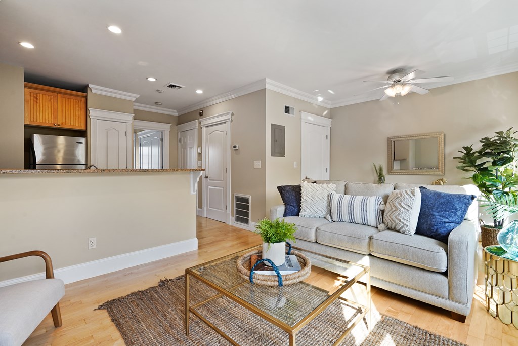 450 East 3rd Street, Unit 3 Boston, MA 02127 - Photo 6 of 15