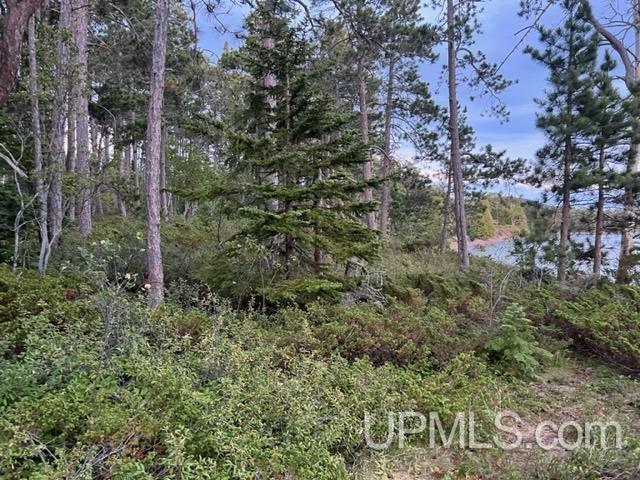 Tbd Woodland Road Copper Harbor, MI 49918 - Photo 10 of 17 Gallery Image 10