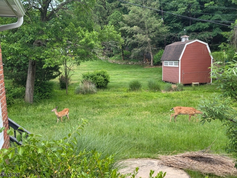 355 Rifle Camp Road, Unit 2 Woodland Park, NJ 07424 - Photo 15 of 18