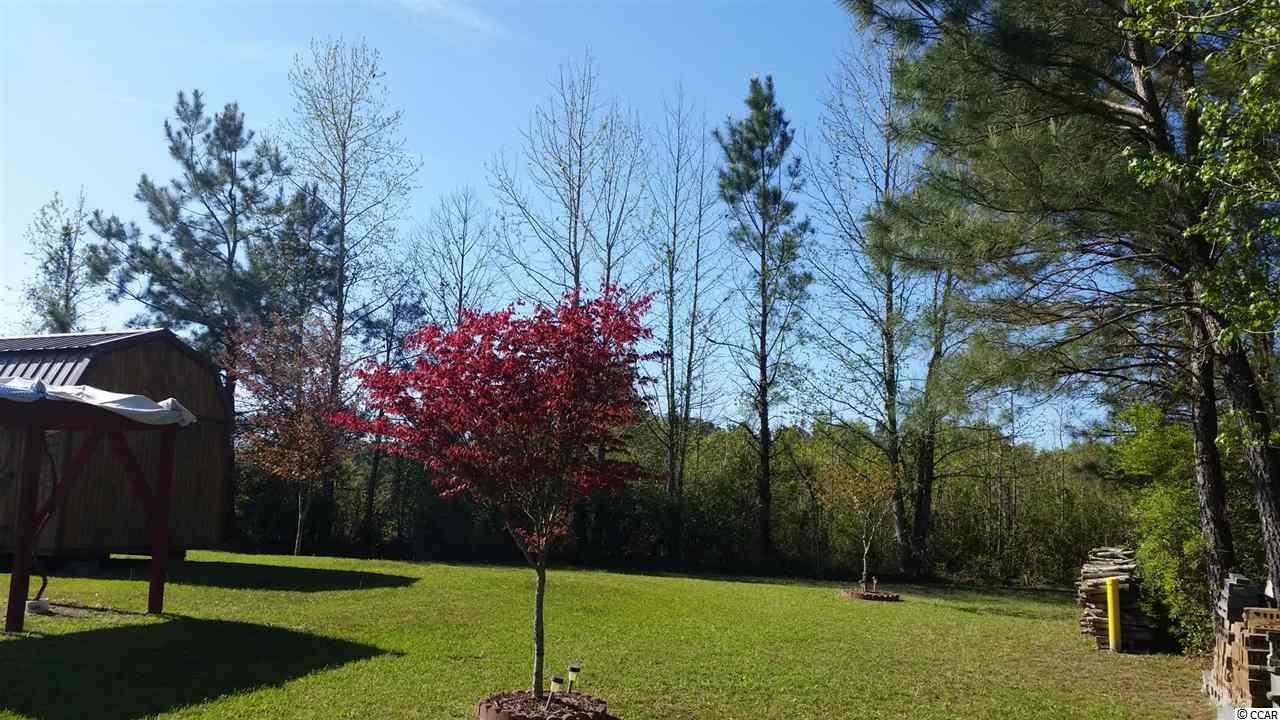 121 McNeil Chapel Road Longs, SC 29568 - Photo 16 of 17 Gallery Image 16