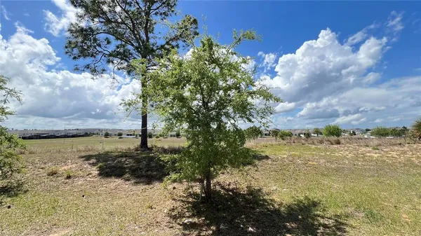 $2,400 | 2440 White Poppy Drive, Kissimmee, FL 34747