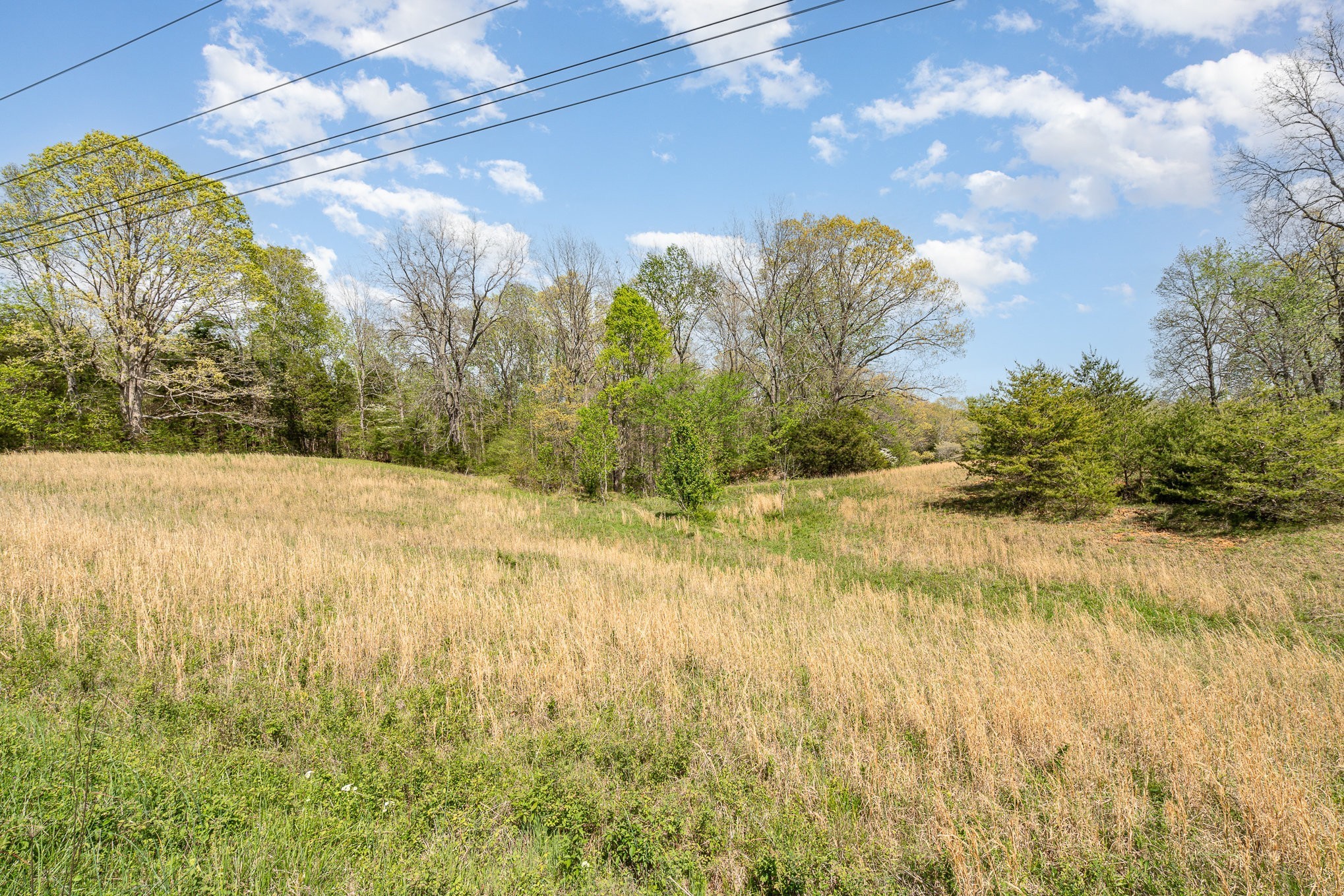 0 Bowker Road Charlotte, TN 37036 - Photo 2 of 10 a view of yard with large tree