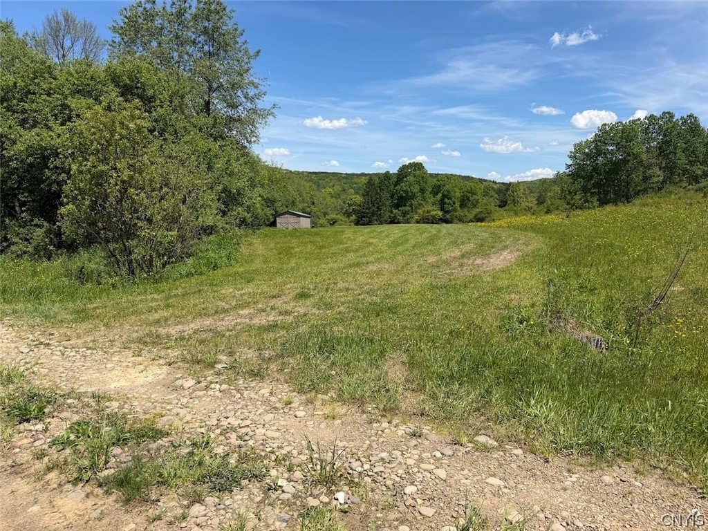 North Branch Road Friendship, NY 14739 - Photo 19 of 27