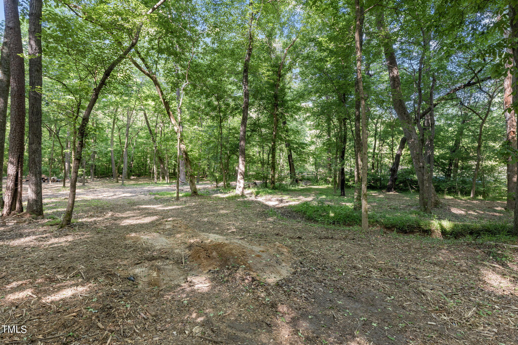 Lot 2 Helena Moriah Road Timberlake, NC 27583 - Photo 6 of 12 a view of outdoor space with trees