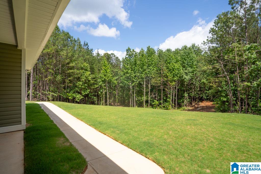 18661 Crisstown Road Vance, AL 35490 - Photo 39 of 42 Gallery Image 39