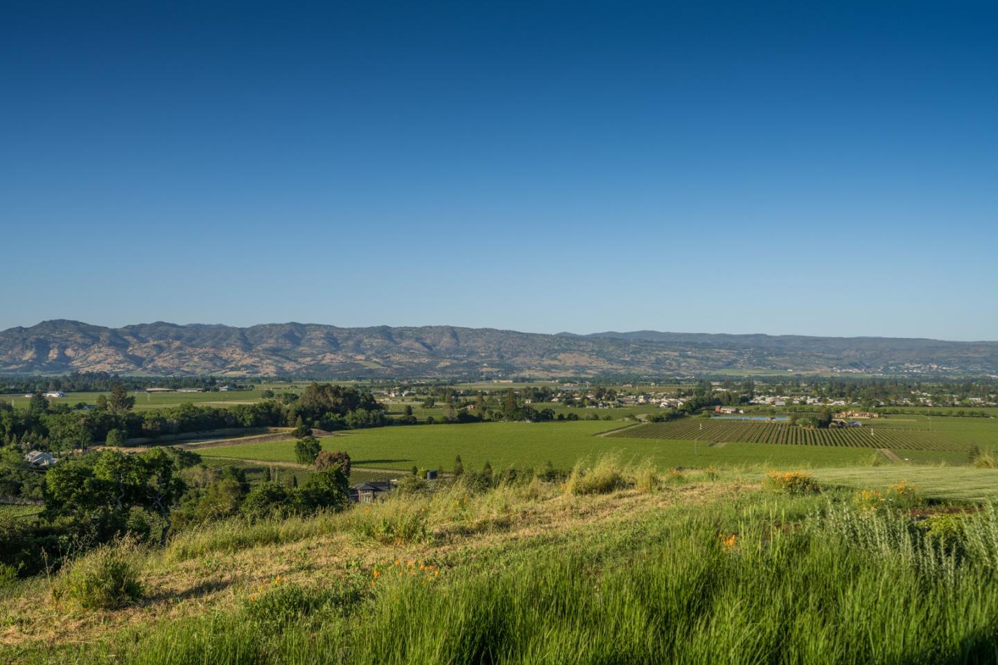 3075 Dry Creek Road Napa, CA 94558 - Photo 30 of 45