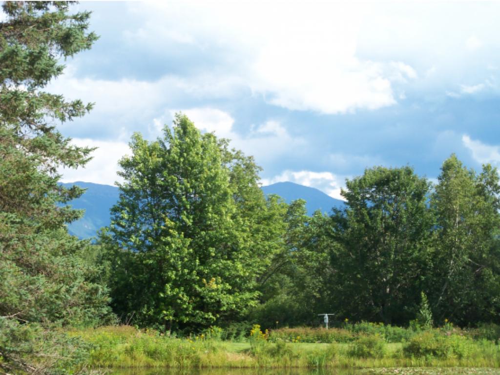 99 Cedric Road Jefferson, NH 03583 - Photo 13 of 27 Gallery Image 13