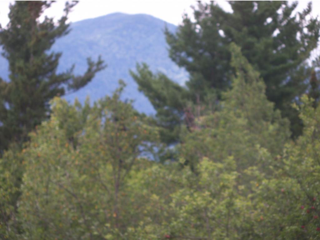 99 Cedric Road Jefferson, NH 03583 - Photo 27 of 27 Gallery Image 27