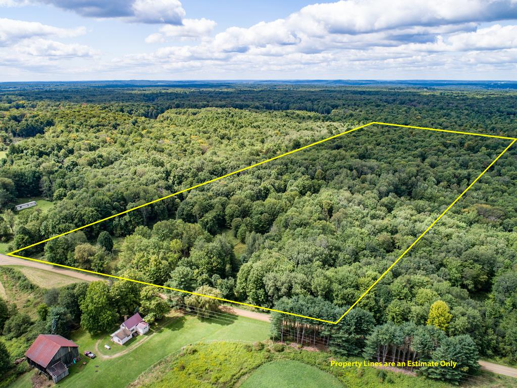 0 Higby Hill Road Townville, PA 16360 - Photo 1 of 25