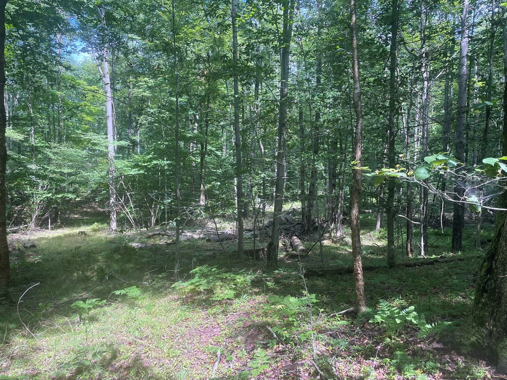 0 Higby Hill Road Townville, PA 16360 - Photo 15 of 25 a backyard of a house with lots of green space