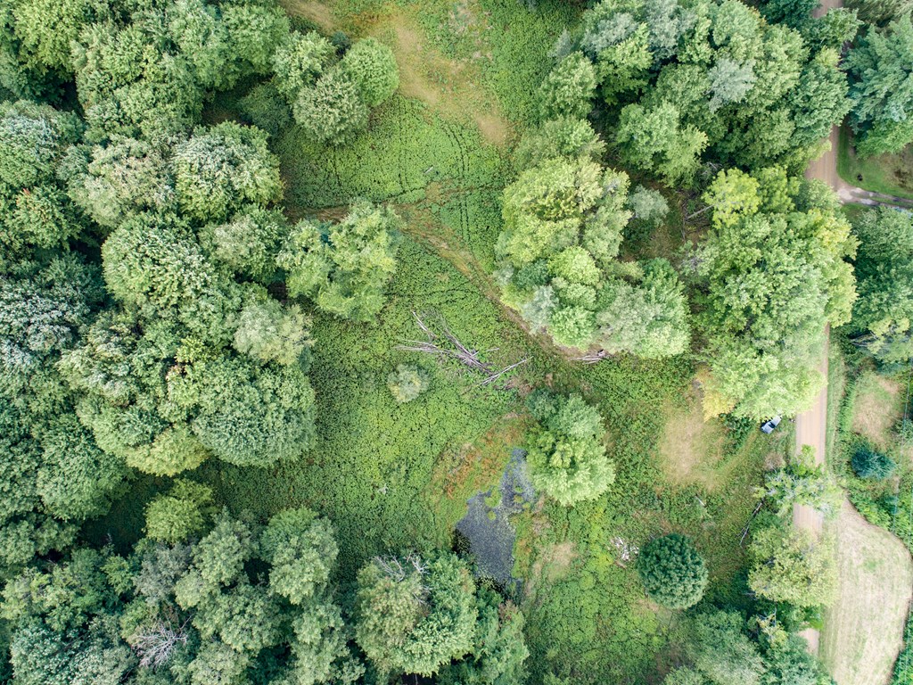 0 Higby Hill Road Townville, PA 16360 - Photo 2 of 25 a view of a lush green forest with lots of trees