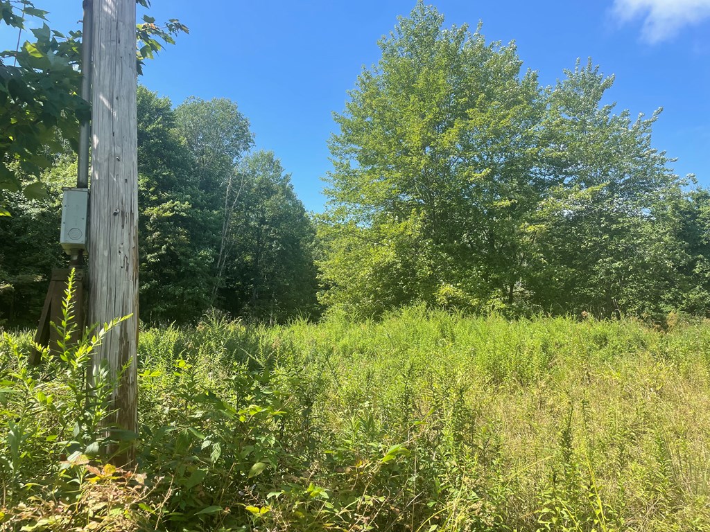 0 Higby Hill Road Townville, PA 16360 - Photo 7 of 25 a view of a garden
