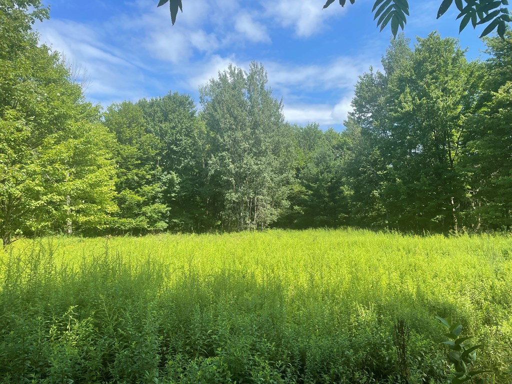 0 Higby Hill Road Townville, PA 16360 - Photo 10 of 25 a view of outdoor space and yard
