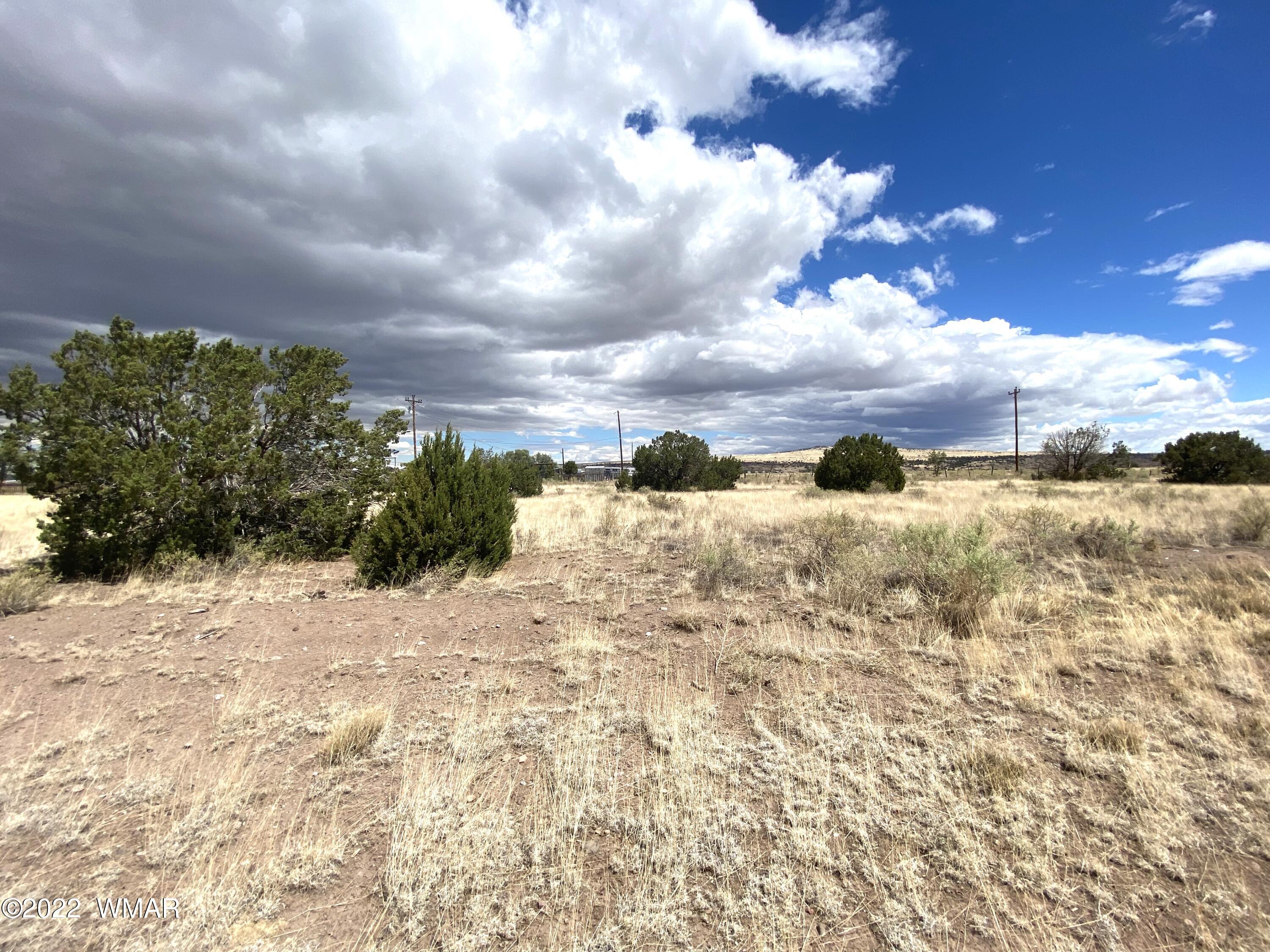 12 County Road Springerville, AZ 85938 - Photo 1 of 2