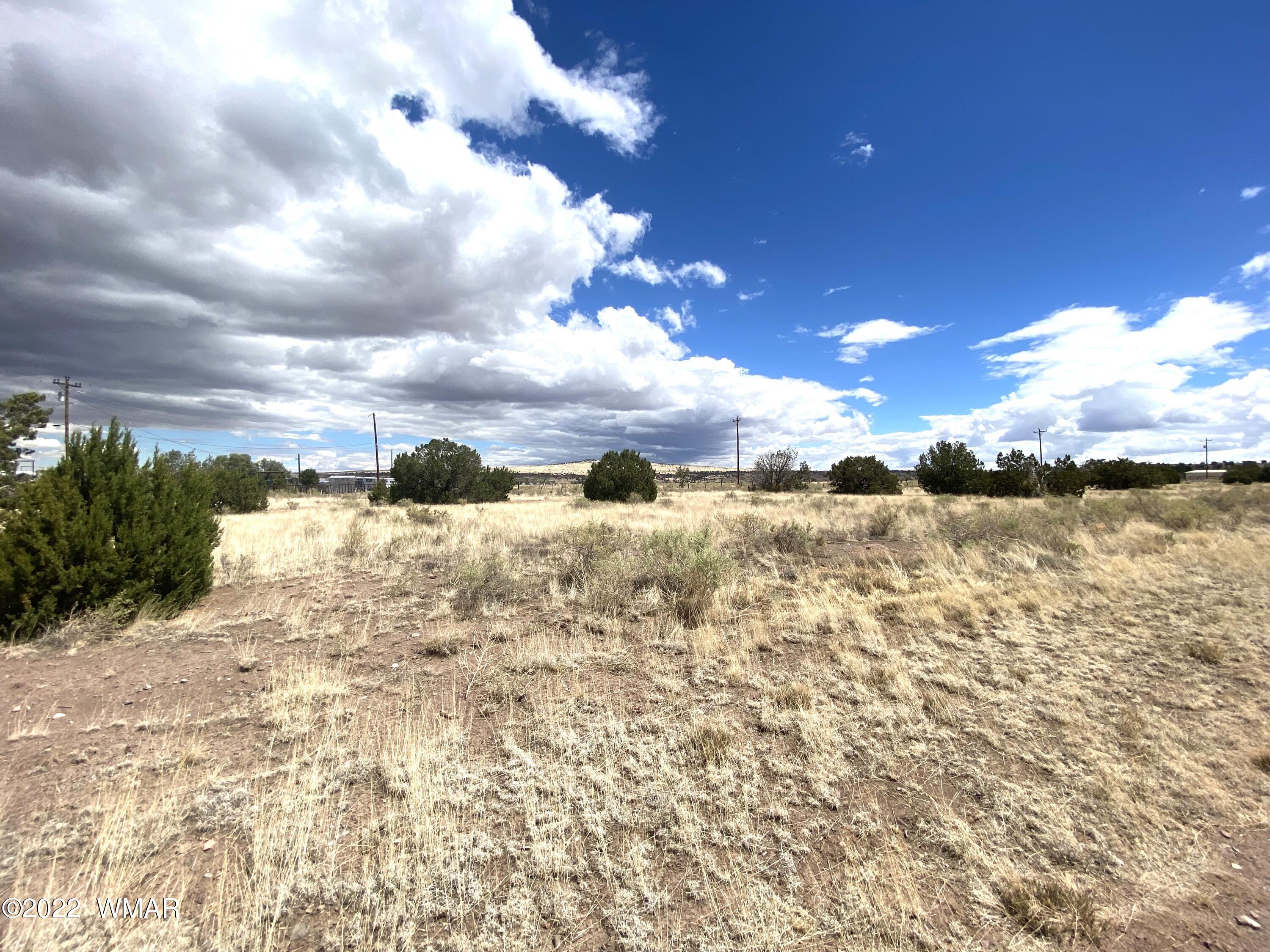 12 County Road Springerville, AZ 85938 - Photo 2 of 2