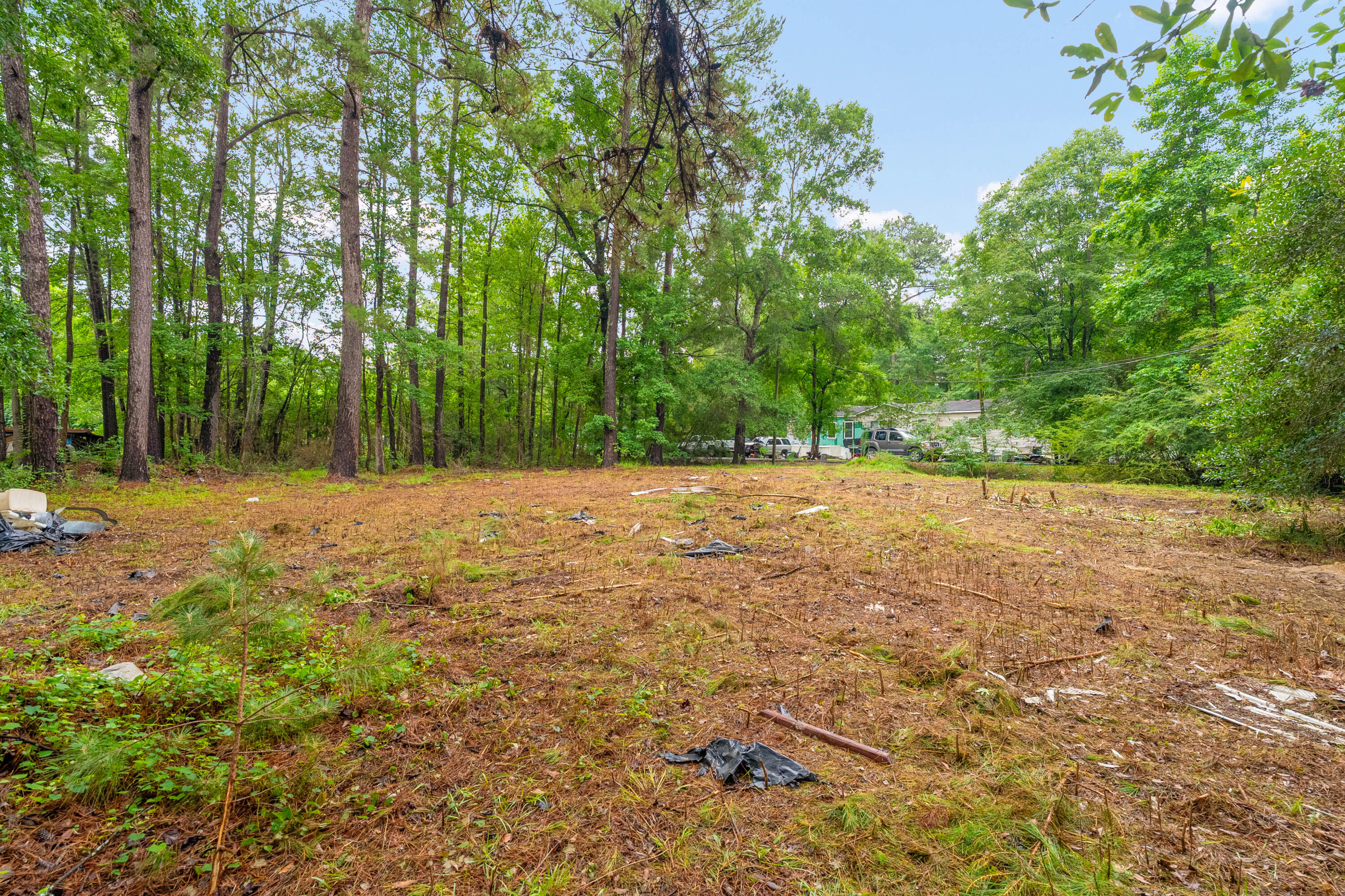 124 Maple Street Ridgeville, SC 29472 - Photo 6 of 12
