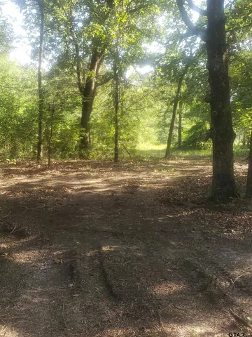 a view of a yard with plants and large trees