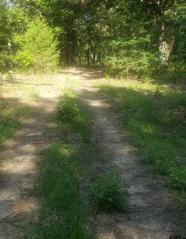 a view of a field with an trees