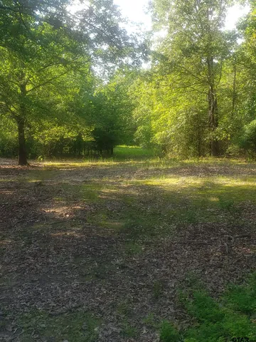 a view of outdoor space and trees