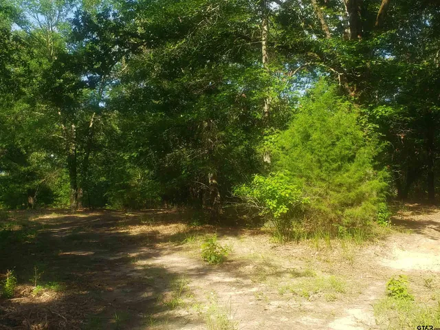 a view of road and trees