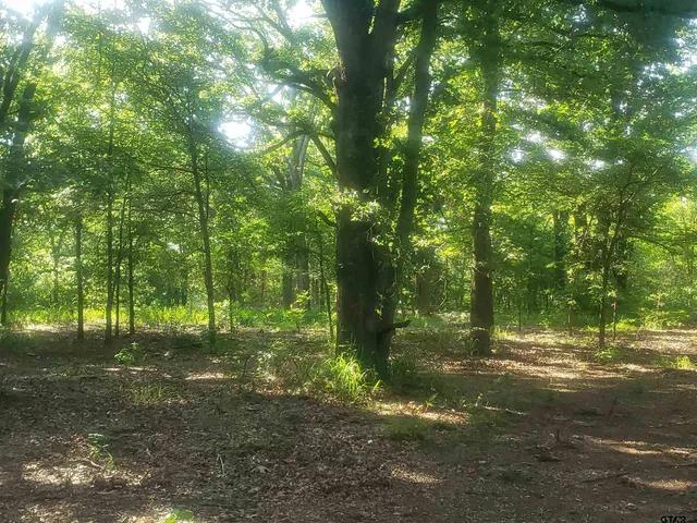 a view of a lake from a yard
