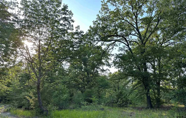 a view of an ocean and a mountain