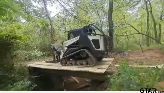 a close up of a plant