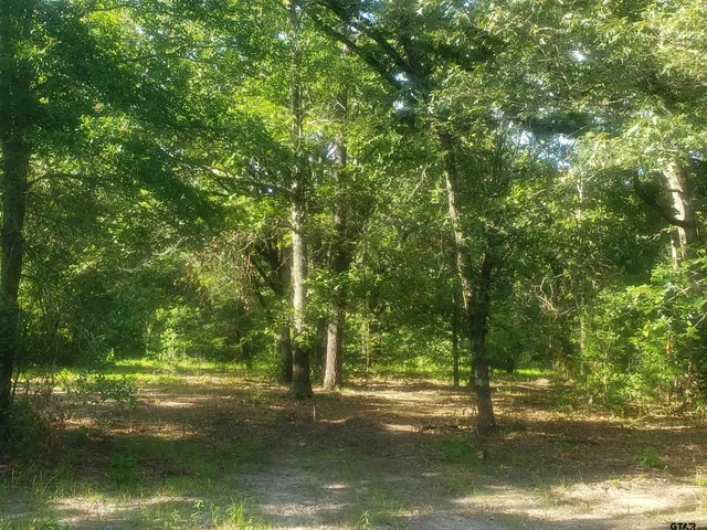 a view of a yard with an outdoor space