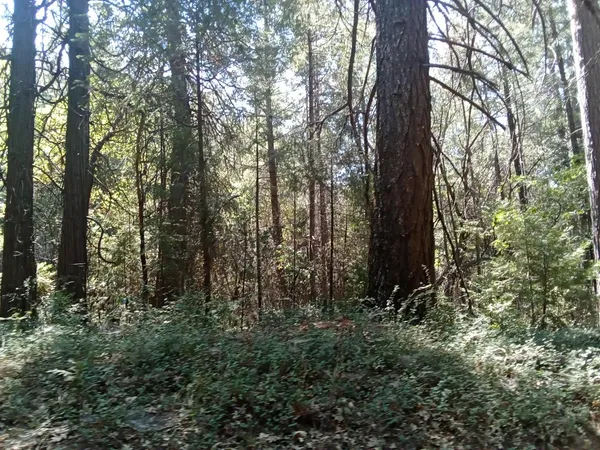 $169,900 | 0 2 Just Road, Foresthill, CA 95631