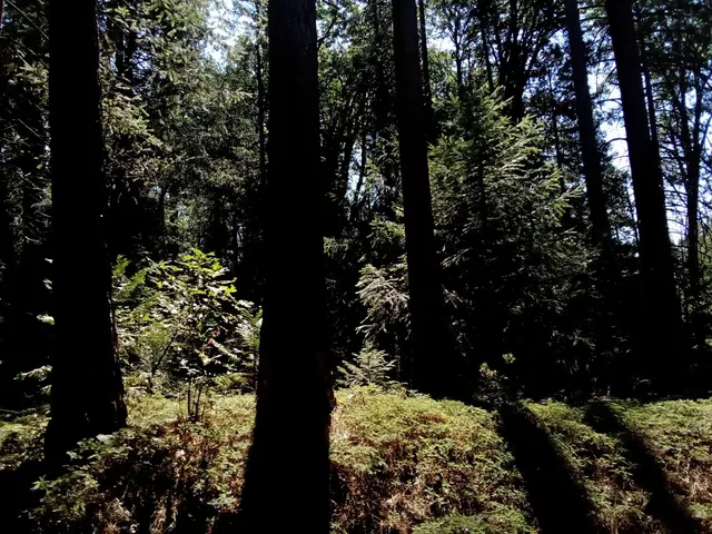 $169,900 | 0 2 Just Road, Foresthill, CA 95631