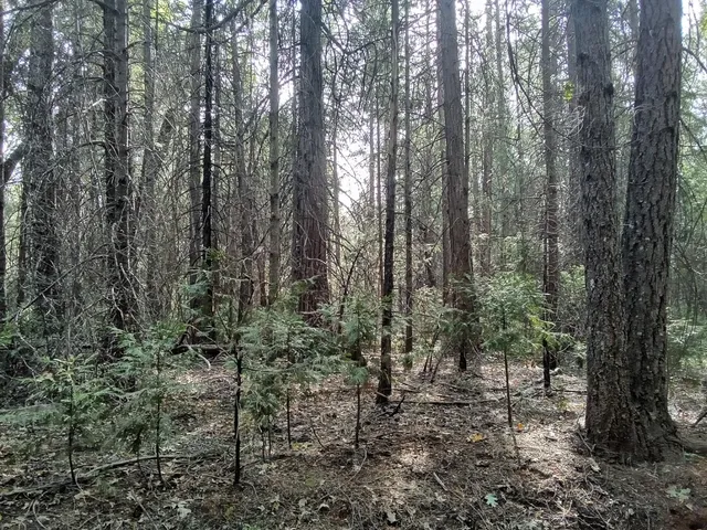 $169,900 | 0 2 Just Road, Foresthill, CA 95631