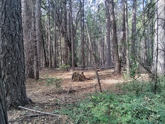 $169,900 | 0 2 Just Road, Foresthill, CA 95631