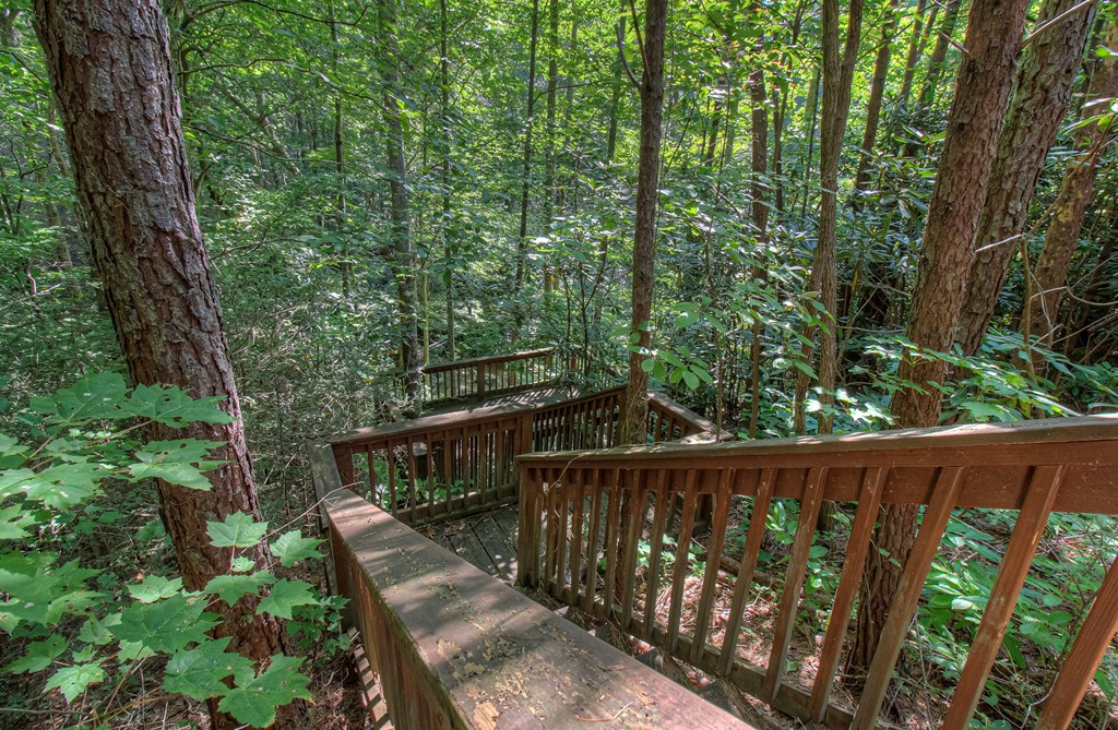 142 Rivendell Lane Tellico Plains, TN 37385 - Photo 25 of 57 Gallery Image 25
